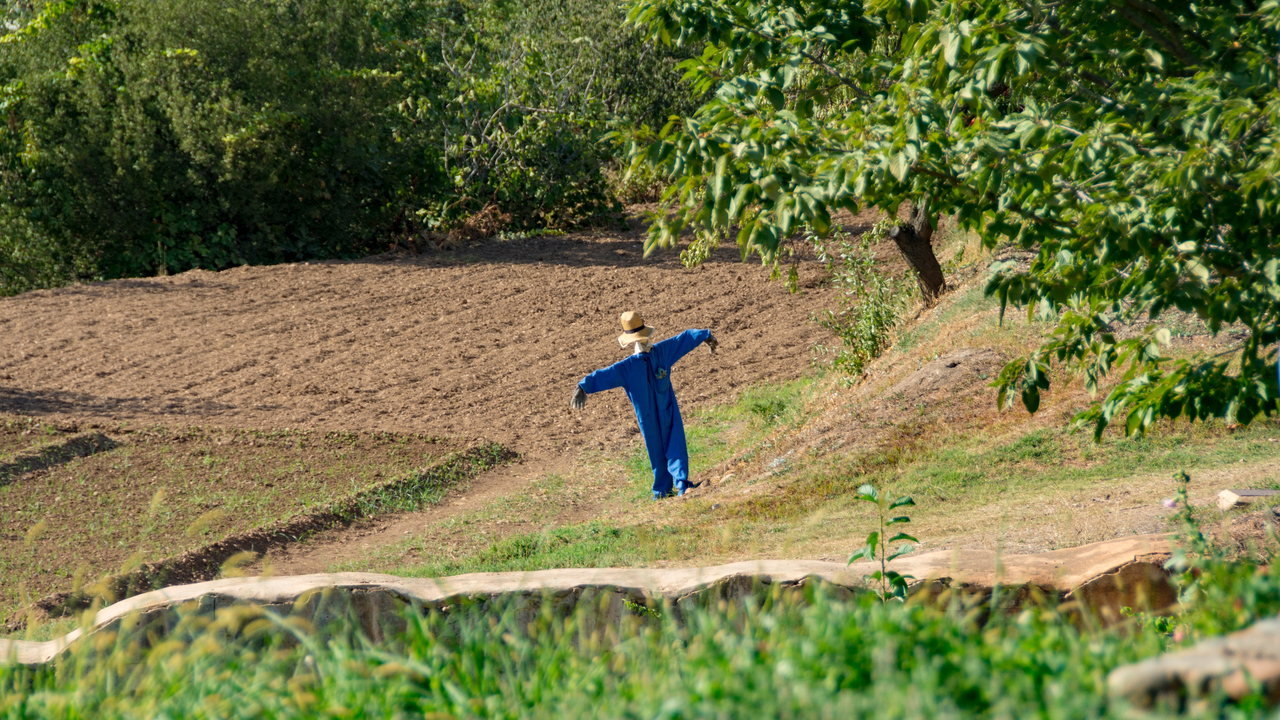 20171006 170558 Alhambra Palace, Granada, Andalusia, Spain
